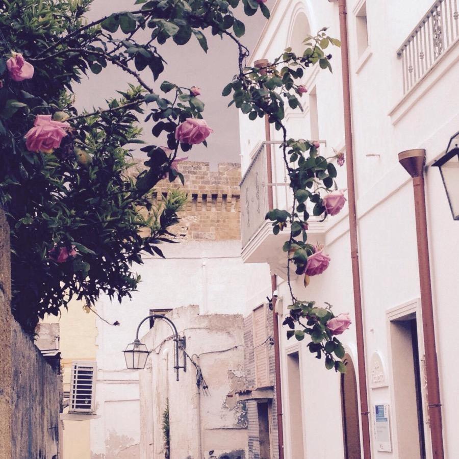 Il Vicoletto Bed & Breakfast Pulsano Exterior foto
